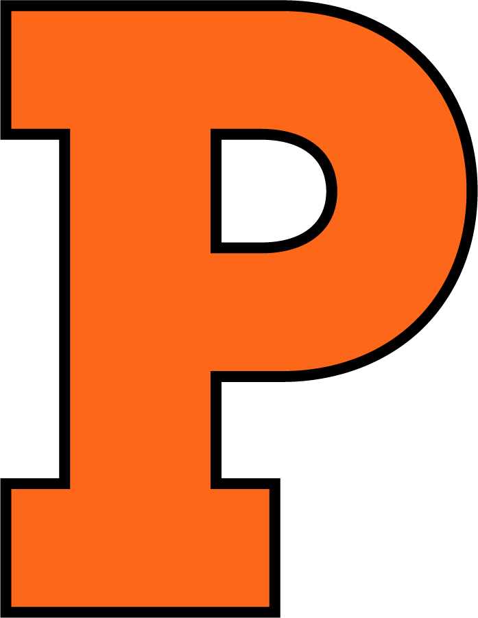 Princeton Tigers 2004-Pres Alternate Logo diy iron on heat transfer